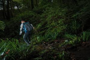 BIB: 
                            <button type="button" onclick="openModal(19024092)" class="btn btn-primary btn-sm float-right btn-popup" data-toggle="modal" data-target=".modal-high-quality">
                        <i class="fas fa-shopping-cart"></i> Add to Cart
                    </button>
                                            <button type="button" onclick="isThisMe(19024092, true)" class="btn btn-success btn-sm float-right btn-popup btn-isme hidden" data-toggle="tooltip" data-placement="bottom" title="นี่คือรูปของคุณใช่ไหม คลิกที่นี่เพื่อเอาเข้าอัลบั้ม">
                        <i class="fas fa-plus"></i> Add to album
                    </button>
                    <button type="button" onclick="isThisMe(19024092, false)" class="btn btn-warning btn-sm float-right btn-popup btn-isnotme hidden">
                        <i class="fas fa-ban"></i> Remove from album
                    </button>