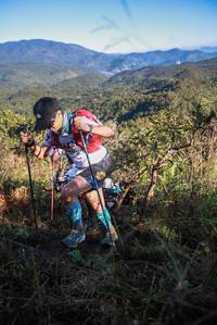 BIB: 
                            <button type="button" onclick="openModal(19095576)" class="btn btn-primary btn-sm float-right btn-popup" data-toggle="modal" data-target=".modal-high-quality">
                        <i class="fas fa-shopping-cart"></i> Add to Cart
                    </button>
                                            <button type="button" onclick="isThisMe(19095576, true)" class="btn btn-success btn-sm float-right btn-popup btn-isme hidden" data-toggle="tooltip" data-placement="bottom" title="นี่คือรูปของคุณใช่ไหม คลิกที่นี่เพื่อเอาเข้าอัลบั้ม">
                        <i class="fas fa-plus"></i> Add to album
                    </button>
                    <button type="button" onclick="isThisMe(19095576, false)" class="btn btn-warning btn-sm float-right btn-popup btn-isnotme hidden">
                        <i class="fas fa-ban"></i> Remove from album
                    </button>