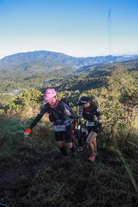 BIB: 339
                            <button type="button" onclick="openModal(19071110)" class="btn btn-primary btn-sm float-right btn-popup" data-toggle="modal" data-target=".modal-high-quality">
                        <i class="fas fa-shopping-cart"></i> Add to Cart
                    </button>
                                            <button type="button" onclick="isThisMe(19071110, true)" class="btn btn-success btn-sm float-right btn-popup btn-isme hidden" data-toggle="tooltip" data-placement="bottom" title="นี่คือรูปของคุณใช่ไหม คลิกที่นี่เพื่อเอาเข้าอัลบั้ม">
                        <i class="fas fa-plus"></i> Add to album
                    </button>
                    <button type="button" onclick="isThisMe(19071110, false)" class="btn btn-warning btn-sm float-right btn-popup btn-isnotme hidden">
                        <i class="fas fa-ban"></i> Remove from album
                    </button>