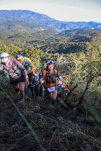 BIB: 5323
                            <button type="button" onclick="openModal(19081970)" class="btn btn-primary btn-sm float-right btn-popup" data-toggle="modal" data-target=".modal-high-quality">
                        <i class="fas fa-shopping-cart"></i> Add to Cart
                    </button>
                                            <button type="button" onclick="isThisMe(19081970, true)" class="btn btn-success btn-sm float-right btn-popup btn-isme hidden" data-toggle="tooltip" data-placement="bottom" title="นี่คือรูปของคุณใช่ไหม คลิกที่นี่เพื่อเอาเข้าอัลบั้ม">
                        <i class="fas fa-plus"></i> Add to album
                    </button>
                    <button type="button" onclick="isThisMe(19081970, false)" class="btn btn-warning btn-sm float-right btn-popup btn-isnotme hidden">
                        <i class="fas fa-ban"></i> Remove from album
                    </button>