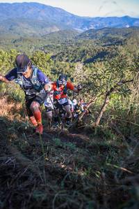 BIB: 
                            <button type="button" onclick="openModal(19100107)" class="btn btn-primary btn-sm float-right btn-popup" data-toggle="modal" data-target=".modal-high-quality">
                        <i class="fas fa-shopping-cart"></i> Add to Cart
                    </button>
                                            <button type="button" onclick="isThisMe(19100107, true)" class="btn btn-success btn-sm float-right btn-popup btn-isme hidden" data-toggle="tooltip" data-placement="bottom" title="นี่คือรูปของคุณใช่ไหม คลิกที่นี่เพื่อเอาเข้าอัลบั้ม">
                        <i class="fas fa-plus"></i> Add to album
                    </button>
                    <button type="button" onclick="isThisMe(19100107, false)" class="btn btn-warning btn-sm float-right btn-popup btn-isnotme hidden">
                        <i class="fas fa-ban"></i> Remove from album
                    </button>