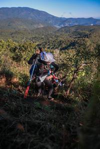 BIB: 
                            <button type="button" onclick="openModal(19104512)" class="btn btn-primary btn-sm float-right btn-popup" data-toggle="modal" data-target=".modal-high-quality">
                        <i class="fas fa-shopping-cart"></i> Add to Cart
                    </button>
                                            <button type="button" onclick="isThisMe(19104512, true)" class="btn btn-success btn-sm float-right btn-popup btn-isme hidden" data-toggle="tooltip" data-placement="bottom" title="นี่คือรูปของคุณใช่ไหม คลิกที่นี่เพื่อเอาเข้าอัลบั้ม">
                        <i class="fas fa-plus"></i> Add to album
                    </button>
                    <button type="button" onclick="isThisMe(19104512, false)" class="btn btn-warning btn-sm float-right btn-popup btn-isnotme hidden">
                        <i class="fas fa-ban"></i> Remove from album
                    </button>