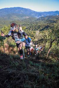 BIB: 
                            <button type="button" onclick="openModal(19107166)" class="btn btn-primary btn-sm float-right btn-popup" data-toggle="modal" data-target=".modal-high-quality">
                        <i class="fas fa-shopping-cart"></i> Add to Cart
                    </button>
                                            <button type="button" onclick="isThisMe(19107166, true)" class="btn btn-success btn-sm float-right btn-popup btn-isme hidden" data-toggle="tooltip" data-placement="bottom" title="นี่คือรูปของคุณใช่ไหม คลิกที่นี่เพื่อเอาเข้าอัลบั้ม">
                        <i class="fas fa-plus"></i> Add to album
                    </button>
                    <button type="button" onclick="isThisMe(19107166, false)" class="btn btn-warning btn-sm float-right btn-popup btn-isnotme hidden">
                        <i class="fas fa-ban"></i> Remove from album
                    </button>