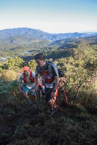 BIB: 5719, 
                            <button type="button" onclick="openModal(19068012)" class="btn btn-primary btn-sm float-right btn-popup" data-toggle="modal" data-target=".modal-high-quality">
                        <i class="fas fa-shopping-cart"></i> Add to Cart
                    </button>
                                            <button type="button" onclick="isThisMe(19068012, true)" class="btn btn-success btn-sm float-right btn-popup btn-isme hidden" data-toggle="tooltip" data-placement="bottom" title="นี่คือรูปของคุณใช่ไหม คลิกที่นี่เพื่อเอาเข้าอัลบั้ม">
                        <i class="fas fa-plus"></i> Add to album
                    </button>
                    <button type="button" onclick="isThisMe(19068012, false)" class="btn btn-warning btn-sm float-right btn-popup btn-isnotme hidden">
                        <i class="fas fa-ban"></i> Remove from album
                    </button>