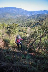 BIB: 
                            <button type="button" onclick="openModal(19110572)" class="btn btn-primary btn-sm float-right btn-popup" data-toggle="modal" data-target=".modal-high-quality">
                        <i class="fas fa-shopping-cart"></i> Add to Cart
                    </button>
                                            <button type="button" onclick="isThisMe(19110572, true)" class="btn btn-success btn-sm float-right btn-popup btn-isme hidden" data-toggle="tooltip" data-placement="bottom" title="นี่คือรูปของคุณใช่ไหม คลิกที่นี่เพื่อเอาเข้าอัลบั้ม">
                        <i class="fas fa-plus"></i> Add to album
                    </button>
                    <button type="button" onclick="isThisMe(19110572, false)" class="btn btn-warning btn-sm float-right btn-popup btn-isnotme hidden">
                        <i class="fas fa-ban"></i> Remove from album
                    </button>