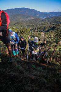 BIB: 
                            <button type="button" onclick="openModal(19105252)" class="btn btn-primary btn-sm float-right btn-popup" data-toggle="modal" data-target=".modal-high-quality">
                        <i class="fas fa-shopping-cart"></i> Add to Cart
                    </button>
                                            <button type="button" onclick="isThisMe(19105252, true)" class="btn btn-success btn-sm float-right btn-popup btn-isme hidden" data-toggle="tooltip" data-placement="bottom" title="นี่คือรูปของคุณใช่ไหม คลิกที่นี่เพื่อเอาเข้าอัลบั้ม">
                        <i class="fas fa-plus"></i> Add to album
                    </button>
                    <button type="button" onclick="isThisMe(19105252, false)" class="btn btn-warning btn-sm float-right btn-popup btn-isnotme hidden">
                        <i class="fas fa-ban"></i> Remove from album
                    </button>