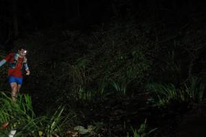 BIB: 
                            <button type="button" onclick="openModal(19027079)" class="btn btn-primary btn-sm float-right btn-popup" data-toggle="modal" data-target=".modal-high-quality">
                        <i class="fas fa-shopping-cart"></i> Add to Cart
                    </button>
                                            <button type="button" onclick="isThisMe(19027079, true)" class="btn btn-success btn-sm float-right btn-popup btn-isme hidden" data-toggle="tooltip" data-placement="bottom" title="นี่คือรูปของคุณใช่ไหม คลิกที่นี่เพื่อเอาเข้าอัลบั้ม">
                        <i class="fas fa-plus"></i> Add to album
                    </button>
                    <button type="button" onclick="isThisMe(19027079, false)" class="btn btn-warning btn-sm float-right btn-popup btn-isnotme hidden">
                        <i class="fas fa-ban"></i> Remove from album
                    </button>