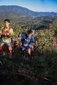 BIB: 
                            <button type="button" onclick="openModal(19086490)" class="btn btn-primary btn-sm float-right btn-popup" data-toggle="modal" data-target=".modal-high-quality">
                        <i class="fas fa-shopping-cart"></i> Add to Cart
                    </button>
                                            <button type="button" onclick="isThisMe(19086490, true)" class="btn btn-success btn-sm float-right btn-popup btn-isme hidden" data-toggle="tooltip" data-placement="bottom" title="นี่คือรูปของคุณใช่ไหม คลิกที่นี่เพื่อเอาเข้าอัลบั้ม">
                        <i class="fas fa-plus"></i> Add to album
                    </button>
                    <button type="button" onclick="isThisMe(19086490, false)" class="btn btn-warning btn-sm float-right btn-popup btn-isnotme hidden">
                        <i class="fas fa-ban"></i> Remove from album
                    </button>