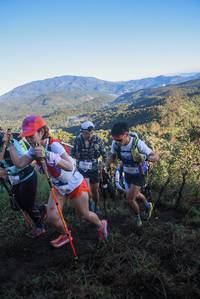 BIB: 
                            <button type="button" onclick="openModal(19065654)" class="btn btn-primary btn-sm float-right btn-popup" data-toggle="modal" data-target=".modal-high-quality">
                        <i class="fas fa-shopping-cart"></i> Add to Cart
                    </button>
                                            <button type="button" onclick="isThisMe(19065654, true)" class="btn btn-success btn-sm float-right btn-popup btn-isme hidden" data-toggle="tooltip" data-placement="bottom" title="นี่คือรูปของคุณใช่ไหม คลิกที่นี่เพื่อเอาเข้าอัลบั้ม">
                        <i class="fas fa-plus"></i> Add to album
                    </button>
                    <button type="button" onclick="isThisMe(19065654, false)" class="btn btn-warning btn-sm float-right btn-popup btn-isnotme hidden">
                        <i class="fas fa-ban"></i> Remove from album
                    </button>