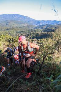 BIB: 
                            <button type="button" onclick="openModal(19082240)" class="btn btn-primary btn-sm float-right btn-popup" data-toggle="modal" data-target=".modal-high-quality">
                        <i class="fas fa-shopping-cart"></i> Add to Cart
                    </button>
                                            <button type="button" onclick="isThisMe(19082240, true)" class="btn btn-success btn-sm float-right btn-popup btn-isme hidden" data-toggle="tooltip" data-placement="bottom" title="นี่คือรูปของคุณใช่ไหม คลิกที่นี่เพื่อเอาเข้าอัลบั้ม">
                        <i class="fas fa-plus"></i> Add to album
                    </button>
                    <button type="button" onclick="isThisMe(19082240, false)" class="btn btn-warning btn-sm float-right btn-popup btn-isnotme hidden">
                        <i class="fas fa-ban"></i> Remove from album
                    </button>