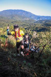 BIB: 
                            <button type="button" onclick="openModal(19086141)" class="btn btn-primary btn-sm float-right btn-popup" data-toggle="modal" data-target=".modal-high-quality">
                        <i class="fas fa-shopping-cart"></i> Add to Cart
                    </button>
                                            <button type="button" onclick="isThisMe(19086141, true)" class="btn btn-success btn-sm float-right btn-popup btn-isme hidden" data-toggle="tooltip" data-placement="bottom" title="นี่คือรูปของคุณใช่ไหม คลิกที่นี่เพื่อเอาเข้าอัลบั้ม">
                        <i class="fas fa-plus"></i> Add to album
                    </button>
                    <button type="button" onclick="isThisMe(19086141, false)" class="btn btn-warning btn-sm float-right btn-popup btn-isnotme hidden">
                        <i class="fas fa-ban"></i> Remove from album
                    </button>