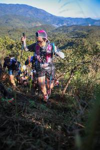 BIB: 6614
                            <button type="button" onclick="openModal(19102308)" class="btn btn-primary btn-sm float-right btn-popup" data-toggle="modal" data-target=".modal-high-quality">
                        <i class="fas fa-shopping-cart"></i> Add to Cart
                    </button>
                                            <button type="button" onclick="isThisMe(19102308, true)" class="btn btn-success btn-sm float-right btn-popup btn-isme hidden" data-toggle="tooltip" data-placement="bottom" title="นี่คือรูปของคุณใช่ไหม คลิกที่นี่เพื่อเอาเข้าอัลบั้ม">
                        <i class="fas fa-plus"></i> Add to album
                    </button>
                    <button type="button" onclick="isThisMe(19102308, false)" class="btn btn-warning btn-sm float-right btn-popup btn-isnotme hidden">
                        <i class="fas fa-ban"></i> Remove from album
                    </button>