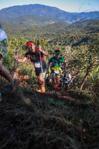 BIB: 
                            <button type="button" onclick="openModal(19103544)" class="btn btn-primary btn-sm float-right btn-popup" data-toggle="modal" data-target=".modal-high-quality">
                        <i class="fas fa-shopping-cart"></i> Add to Cart
                    </button>
                                            <button type="button" onclick="isThisMe(19103544, true)" class="btn btn-success btn-sm float-right btn-popup btn-isme hidden" data-toggle="tooltip" data-placement="bottom" title="นี่คือรูปของคุณใช่ไหม คลิกที่นี่เพื่อเอาเข้าอัลบั้ม">
                        <i class="fas fa-plus"></i> Add to album
                    </button>
                    <button type="button" onclick="isThisMe(19103544, false)" class="btn btn-warning btn-sm float-right btn-popup btn-isnotme hidden">
                        <i class="fas fa-ban"></i> Remove from album
                    </button>