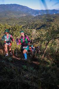 BIB: 
                            <button type="button" onclick="openModal(19105808)" class="btn btn-primary btn-sm float-right btn-popup" data-toggle="modal" data-target=".modal-high-quality">
                        <i class="fas fa-shopping-cart"></i> Add to Cart
                    </button>
                                            <button type="button" onclick="isThisMe(19105808, true)" class="btn btn-success btn-sm float-right btn-popup btn-isme hidden" data-toggle="tooltip" data-placement="bottom" title="นี่คือรูปของคุณใช่ไหม คลิกที่นี่เพื่อเอาเข้าอัลบั้ม">
                        <i class="fas fa-plus"></i> Add to album
                    </button>
                    <button type="button" onclick="isThisMe(19105808, false)" class="btn btn-warning btn-sm float-right btn-popup btn-isnotme hidden">
                        <i class="fas fa-ban"></i> Remove from album
                    </button>