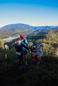 BIB: 
                            <button type="button" onclick="openModal(19064448)" class="btn btn-primary btn-sm float-right btn-popup" data-toggle="modal" data-target=".modal-high-quality">
                        <i class="fas fa-shopping-cart"></i> Add to Cart
                    </button>
                                            <button type="button" onclick="isThisMe(19064448, true)" class="btn btn-success btn-sm float-right btn-popup btn-isme hidden" data-toggle="tooltip" data-placement="bottom" title="นี่คือรูปของคุณใช่ไหม คลิกที่นี่เพื่อเอาเข้าอัลบั้ม">
                        <i class="fas fa-plus"></i> Add to album
                    </button>
                    <button type="button" onclick="isThisMe(19064448, false)" class="btn btn-warning btn-sm float-right btn-popup btn-isnotme hidden">
                        <i class="fas fa-ban"></i> Remove from album
                    </button>