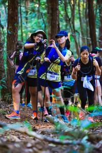 BIB: 603, 1502
                            <button type="button" onclick="openModal(19153081)" class="btn btn-primary btn-sm float-right btn-popup" data-toggle="modal" data-target=".modal-high-quality">
                        <i class="fas fa-shopping-cart"></i> Add to Cart
                    </button>
                                            <button type="button" onclick="isThisMe(19153081, true)" class="btn btn-success btn-sm float-right btn-popup btn-isme hidden" data-toggle="tooltip" data-placement="bottom" title="นี่คือรูปของคุณใช่ไหม คลิกที่นี่เพื่อเอาเข้าอัลบั้ม">
                        <i class="fas fa-plus"></i> Add to album
                    </button>
                    <button type="button" onclick="isThisMe(19153081, false)" class="btn btn-warning btn-sm float-right btn-popup btn-isnotme hidden">
                        <i class="fas fa-ban"></i> Remove from album
                    </button>