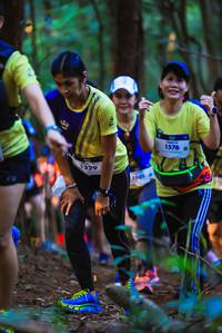 BIB: 1329, 1576
                            <button type="button" onclick="openModal(19152900)" class="btn btn-primary btn-sm float-right btn-popup" data-toggle="modal" data-target=".modal-high-quality">
                        <i class="fas fa-shopping-cart"></i> Add to Cart
                    </button>
                                            <button type="button" onclick="isThisMe(19152900, true)" class="btn btn-success btn-sm float-right btn-popup btn-isme hidden" data-toggle="tooltip" data-placement="bottom" title="นี่คือรูปของคุณใช่ไหม คลิกที่นี่เพื่อเอาเข้าอัลบั้ม">
                        <i class="fas fa-plus"></i> Add to album
                    </button>
                    <button type="button" onclick="isThisMe(19152900, false)" class="btn btn-warning btn-sm float-right btn-popup btn-isnotme hidden">
                        <i class="fas fa-ban"></i> Remove from album
                    </button>