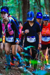 BIB: 1345, 1311, 1517
                            <button type="button" onclick="openModal(19152609)" class="btn btn-primary btn-sm float-right btn-popup" data-toggle="modal" data-target=".modal-high-quality">
                        <i class="fas fa-shopping-cart"></i> Add to Cart
                    </button>
                                            <button type="button" onclick="isThisMe(19152609, true)" class="btn btn-success btn-sm float-right btn-popup btn-isme hidden" data-toggle="tooltip" data-placement="bottom" title="นี่คือรูปของคุณใช่ไหม คลิกที่นี่เพื่อเอาเข้าอัลบั้ม">
                        <i class="fas fa-plus"></i> Add to album
                    </button>
                    <button type="button" onclick="isThisMe(19152609, false)" class="btn btn-warning btn-sm float-right btn-popup btn-isnotme hidden">
                        <i class="fas fa-ban"></i> Remove from album
                    </button>