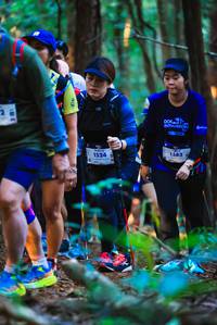 BIB: 1524, 1383
                            <button type="button" onclick="openModal(19152985)" class="btn btn-primary btn-sm float-right btn-popup" data-toggle="modal" data-target=".modal-high-quality">
                        <i class="fas fa-shopping-cart"></i> Add to Cart
                    </button>
                                            <button type="button" onclick="isThisMe(19152985, true)" class="btn btn-success btn-sm float-right btn-popup btn-isme hidden" data-toggle="tooltip" data-placement="bottom" title="นี่คือรูปของคุณใช่ไหม คลิกที่นี่เพื่อเอาเข้าอัลบั้ม">
                        <i class="fas fa-plus"></i> Add to album
                    </button>
                    <button type="button" onclick="isThisMe(19152985, false)" class="btn btn-warning btn-sm float-right btn-popup btn-isnotme hidden">
                        <i class="fas fa-ban"></i> Remove from album
                    </button>