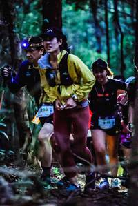 BIB: 239, 2119
                            <button type="button" onclick="openModal(19140520)" class="btn btn-primary btn-sm float-right btn-popup" data-toggle="modal" data-target=".modal-high-quality">
                        <i class="fas fa-shopping-cart"></i> Add to Cart
                    </button>
                                            <button type="button" onclick="isThisMe(19140520, true)" class="btn btn-success btn-sm float-right btn-popup btn-isme hidden" data-toggle="tooltip" data-placement="bottom" title="นี่คือรูปของคุณใช่ไหม คลิกที่นี่เพื่อเอาเข้าอัลบั้ม">
                        <i class="fas fa-plus"></i> Add to album
                    </button>
                    <button type="button" onclick="isThisMe(19140520, false)" class="btn btn-warning btn-sm float-right btn-popup btn-isnotme hidden">
                        <i class="fas fa-ban"></i> Remove from album
                    </button>