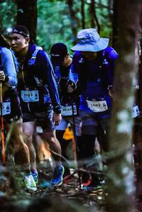 BIB: 1983, 2930, 2462
                            <button type="button" onclick="openModal(19140482)" class="btn btn-primary btn-sm float-right btn-popup" data-toggle="modal" data-target=".modal-high-quality">
                        <i class="fas fa-shopping-cart"></i> Add to Cart
                    </button>
                                            <button type="button" onclick="isThisMe(19140482, true)" class="btn btn-success btn-sm float-right btn-popup btn-isme hidden" data-toggle="tooltip" data-placement="bottom" title="นี่คือรูปของคุณใช่ไหม คลิกที่นี่เพื่อเอาเข้าอัลบั้ม">
                        <i class="fas fa-plus"></i> Add to album
                    </button>
                    <button type="button" onclick="isThisMe(19140482, false)" class="btn btn-warning btn-sm float-right btn-popup btn-isnotme hidden">
                        <i class="fas fa-ban"></i> Remove from album
                    </button>