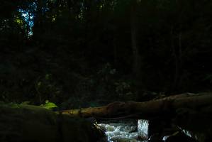 BIB: 
                            <button type="button" onclick="openModal(19066140)" class="btn btn-primary btn-sm float-right btn-popup" data-toggle="modal" data-target=".modal-high-quality">
                        <i class="fas fa-shopping-cart"></i> Add to Cart
                    </button>
                                            <button type="button" onclick="isThisMe(19066140, true)" class="btn btn-success btn-sm float-right btn-popup btn-isme hidden" data-toggle="tooltip" data-placement="bottom" title="นี่คือรูปของคุณใช่ไหม คลิกที่นี่เพื่อเอาเข้าอัลบั้ม">
                        <i class="fas fa-plus"></i> Add to album
                    </button>
                    <button type="button" onclick="isThisMe(19066140, false)" class="btn btn-warning btn-sm float-right btn-popup btn-isnotme hidden">
                        <i class="fas fa-ban"></i> Remove from album
                    </button>