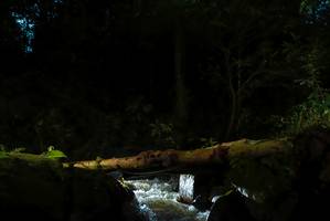 BIB: 
                            <button type="button" onclick="openModal(19028709)" class="btn btn-primary btn-sm float-right btn-popup" data-toggle="modal" data-target=".modal-high-quality">
                        <i class="fas fa-shopping-cart"></i> Add to Cart
                    </button>
                                            <button type="button" onclick="isThisMe(19028709, true)" class="btn btn-success btn-sm float-right btn-popup btn-isme hidden" data-toggle="tooltip" data-placement="bottom" title="นี่คือรูปของคุณใช่ไหม คลิกที่นี่เพื่อเอาเข้าอัลบั้ม">
                        <i class="fas fa-plus"></i> Add to album
                    </button>
                    <button type="button" onclick="isThisMe(19028709, false)" class="btn btn-warning btn-sm float-right btn-popup btn-isnotme hidden">
                        <i class="fas fa-ban"></i> Remove from album
                    </button>