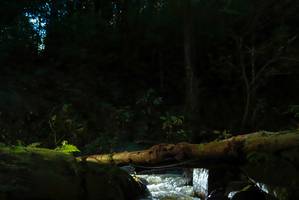 BIB: 
                            <button type="button" onclick="openModal(19048658)" class="btn btn-primary btn-sm float-right btn-popup" data-toggle="modal" data-target=".modal-high-quality">
                        <i class="fas fa-shopping-cart"></i> Add to Cart
                    </button>
                                            <button type="button" onclick="isThisMe(19048658, true)" class="btn btn-success btn-sm float-right btn-popup btn-isme hidden" data-toggle="tooltip" data-placement="bottom" title="นี่คือรูปของคุณใช่ไหม คลิกที่นี่เพื่อเอาเข้าอัลบั้ม">
                        <i class="fas fa-plus"></i> Add to album
                    </button>
                    <button type="button" onclick="isThisMe(19048658, false)" class="btn btn-warning btn-sm float-right btn-popup btn-isnotme hidden">
                        <i class="fas fa-ban"></i> Remove from album
                    </button>