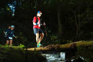 BIB: 
                            <button type="button" onclick="openModal(19063524)" class="btn btn-primary btn-sm float-right btn-popup" data-toggle="modal" data-target=".modal-high-quality">
                        <i class="fas fa-shopping-cart"></i> Add to Cart
                    </button>
                                            <button type="button" onclick="isThisMe(19063524, true)" class="btn btn-success btn-sm float-right btn-popup btn-isme hidden" data-toggle="tooltip" data-placement="bottom" title="นี่คือรูปของคุณใช่ไหม คลิกที่นี่เพื่อเอาเข้าอัลบั้ม">
                        <i class="fas fa-plus"></i> Add to album
                    </button>
                    <button type="button" onclick="isThisMe(19063524, false)" class="btn btn-warning btn-sm float-right btn-popup btn-isnotme hidden">
                        <i class="fas fa-ban"></i> Remove from album
                    </button>