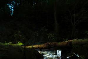 BIB: 
                            <button type="button" onclick="openModal(19031013)" class="btn btn-primary btn-sm float-right btn-popup" data-toggle="modal" data-target=".modal-high-quality">
                        <i class="fas fa-shopping-cart"></i> Add to Cart
                    </button>
                                            <button type="button" onclick="isThisMe(19031013, true)" class="btn btn-success btn-sm float-right btn-popup btn-isme hidden" data-toggle="tooltip" data-placement="bottom" title="นี่คือรูปของคุณใช่ไหม คลิกที่นี่เพื่อเอาเข้าอัลบั้ม">
                        <i class="fas fa-plus"></i> Add to album
                    </button>
                    <button type="button" onclick="isThisMe(19031013, false)" class="btn btn-warning btn-sm float-right btn-popup btn-isnotme hidden">
                        <i class="fas fa-ban"></i> Remove from album
                    </button>