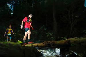 BIB: 
                            <button type="button" onclick="openModal(19048770)" class="btn btn-primary btn-sm float-right btn-popup" data-toggle="modal" data-target=".modal-high-quality">
                        <i class="fas fa-shopping-cart"></i> Add to Cart
                    </button>
                                            <button type="button" onclick="isThisMe(19048770, true)" class="btn btn-success btn-sm float-right btn-popup btn-isme hidden" data-toggle="tooltip" data-placement="bottom" title="นี่คือรูปของคุณใช่ไหม คลิกที่นี่เพื่อเอาเข้าอัลบั้ม">
                        <i class="fas fa-plus"></i> Add to album
                    </button>
                    <button type="button" onclick="isThisMe(19048770, false)" class="btn btn-warning btn-sm float-right btn-popup btn-isnotme hidden">
                        <i class="fas fa-ban"></i> Remove from album
                    </button>