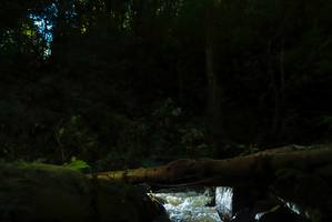 BIB: 
                            <button type="button" onclick="openModal(19067040)" class="btn btn-primary btn-sm float-right btn-popup" data-toggle="modal" data-target=".modal-high-quality">
                        <i class="fas fa-shopping-cart"></i> Add to Cart
                    </button>
                                            <button type="button" onclick="isThisMe(19067040, true)" class="btn btn-success btn-sm float-right btn-popup btn-isme hidden" data-toggle="tooltip" data-placement="bottom" title="นี่คือรูปของคุณใช่ไหม คลิกที่นี่เพื่อเอาเข้าอัลบั้ม">
                        <i class="fas fa-plus"></i> Add to album
                    </button>
                    <button type="button" onclick="isThisMe(19067040, false)" class="btn btn-warning btn-sm float-right btn-popup btn-isnotme hidden">
                        <i class="fas fa-ban"></i> Remove from album
                    </button>