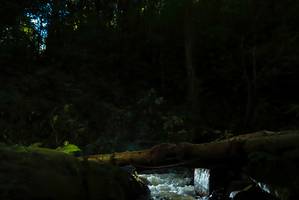 BIB: 
                            <button type="button" onclick="openModal(19066143)" class="btn btn-primary btn-sm float-right btn-popup" data-toggle="modal" data-target=".modal-high-quality">
                        <i class="fas fa-shopping-cart"></i> Add to Cart
                    </button>
                                            <button type="button" onclick="isThisMe(19066143, true)" class="btn btn-success btn-sm float-right btn-popup btn-isme hidden" data-toggle="tooltip" data-placement="bottom" title="นี่คือรูปของคุณใช่ไหม คลิกที่นี่เพื่อเอาเข้าอัลบั้ม">
                        <i class="fas fa-plus"></i> Add to album
                    </button>
                    <button type="button" onclick="isThisMe(19066143, false)" class="btn btn-warning btn-sm float-right btn-popup btn-isnotme hidden">
                        <i class="fas fa-ban"></i> Remove from album
                    </button>