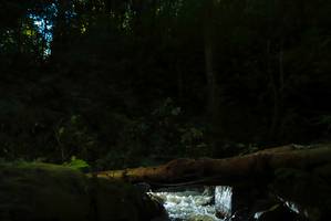 BIB: 
                            <button type="button" onclick="openModal(19067043)" class="btn btn-primary btn-sm float-right btn-popup" data-toggle="modal" data-target=".modal-high-quality">
                        <i class="fas fa-shopping-cart"></i> Add to Cart
                    </button>
                                            <button type="button" onclick="isThisMe(19067043, true)" class="btn btn-success btn-sm float-right btn-popup btn-isme hidden" data-toggle="tooltip" data-placement="bottom" title="นี่คือรูปของคุณใช่ไหม คลิกที่นี่เพื่อเอาเข้าอัลบั้ม">
                        <i class="fas fa-plus"></i> Add to album
                    </button>
                    <button type="button" onclick="isThisMe(19067043, false)" class="btn btn-warning btn-sm float-right btn-popup btn-isnotme hidden">
                        <i class="fas fa-ban"></i> Remove from album
                    </button>