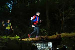 BIB: 
                            <button type="button" onclick="openModal(19061559)" class="btn btn-primary btn-sm float-right btn-popup" data-toggle="modal" data-target=".modal-high-quality">
                        <i class="fas fa-shopping-cart"></i> Add to Cart
                    </button>
                                            <button type="button" onclick="isThisMe(19061559, true)" class="btn btn-success btn-sm float-right btn-popup btn-isme hidden" data-toggle="tooltip" data-placement="bottom" title="นี่คือรูปของคุณใช่ไหม คลิกที่นี่เพื่อเอาเข้าอัลบั้ม">
                        <i class="fas fa-plus"></i> Add to album
                    </button>
                    <button type="button" onclick="isThisMe(19061559, false)" class="btn btn-warning btn-sm float-right btn-popup btn-isnotme hidden">
                        <i class="fas fa-ban"></i> Remove from album
                    </button>