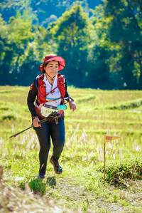 BIB: 248
                            <button type="button" onclick="openModal(19142138)" class="btn btn-primary btn-sm float-right btn-popup" data-toggle="modal" data-target=".modal-high-quality">
                        <i class="fas fa-shopping-cart"></i> Add to Cart
                    </button>
                                            <button type="button" onclick="isThisMe(19142138, true)" class="btn btn-success btn-sm float-right btn-popup btn-isme hidden" data-toggle="tooltip" data-placement="bottom" title="นี่คือรูปของคุณใช่ไหม คลิกที่นี่เพื่อเอาเข้าอัลบั้ม">
                        <i class="fas fa-plus"></i> Add to album
                    </button>
                    <button type="button" onclick="isThisMe(19142138, false)" class="btn btn-warning btn-sm float-right btn-popup btn-isnotme hidden">
                        <i class="fas fa-ban"></i> Remove from album
                    </button>