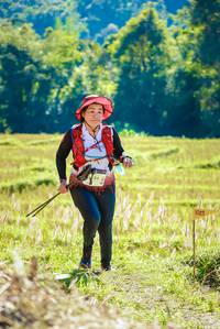 BIB: 
                            <button type="button" onclick="openModal(19142133)" class="btn btn-primary btn-sm float-right btn-popup" data-toggle="modal" data-target=".modal-high-quality">
                        <i class="fas fa-shopping-cart"></i> Add to Cart
                    </button>
                                            <button type="button" onclick="isThisMe(19142133, true)" class="btn btn-success btn-sm float-right btn-popup btn-isme hidden" data-toggle="tooltip" data-placement="bottom" title="นี่คือรูปของคุณใช่ไหม คลิกที่นี่เพื่อเอาเข้าอัลบั้ม">
                        <i class="fas fa-plus"></i> Add to album
                    </button>
                    <button type="button" onclick="isThisMe(19142133, false)" class="btn btn-warning btn-sm float-right btn-popup btn-isnotme hidden">
                        <i class="fas fa-ban"></i> Remove from album
                    </button>