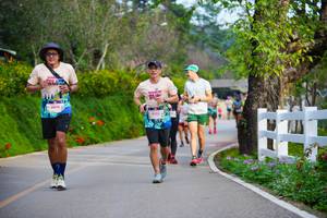 BIB: 6079, 7000, 2355
                            <button type="button" onclick="openModal(19139045)" class="btn btn-primary btn-sm float-right btn-popup" data-toggle="modal" data-target=".modal-high-quality">
                        <i class="fas fa-shopping-cart"></i> Add to Cart
                    </button>
                                            <button type="button" onclick="isThisMe(19139045, true)" class="btn btn-success btn-sm float-right btn-popup btn-isme hidden" data-toggle="tooltip" data-placement="bottom" title="นี่คือรูปของคุณใช่ไหม คลิกที่นี่เพื่อเอาเข้าอัลบั้ม">
                        <i class="fas fa-plus"></i> Add to album
                    </button>
                    <button type="button" onclick="isThisMe(19139045, false)" class="btn btn-warning btn-sm float-right btn-popup btn-isnotme hidden">
                        <i class="fas fa-ban"></i> Remove from album
                    </button>