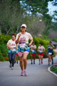 BIB: 8076, 14201
                            <button type="button" onclick="openModal(19140536)" class="btn btn-primary btn-sm float-right btn-popup" data-toggle="modal" data-target=".modal-high-quality">
                        <i class="fas fa-shopping-cart"></i> Add to Cart
                    </button>
                                            <button type="button" onclick="isThisMe(19140536, true)" class="btn btn-success btn-sm float-right btn-popup btn-isme hidden" data-toggle="tooltip" data-placement="bottom" title="นี่คือรูปของคุณใช่ไหม คลิกที่นี่เพื่อเอาเข้าอัลบั้ม">
                        <i class="fas fa-plus"></i> Add to album
                    </button>
                    <button type="button" onclick="isThisMe(19140536, false)" class="btn btn-warning btn-sm float-right btn-popup btn-isnotme hidden">
                        <i class="fas fa-ban"></i> Remove from album
                    </button>