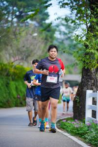 BIB: 8019
                            <button type="button" onclick="openModal(19145429)" class="btn btn-primary btn-sm float-right btn-popup" data-toggle="modal" data-target=".modal-high-quality">
                        <i class="fas fa-shopping-cart"></i> Add to Cart
                    </button>
                                            <button type="button" onclick="isThisMe(19145429, true)" class="btn btn-success btn-sm float-right btn-popup btn-isme hidden" data-toggle="tooltip" data-placement="bottom" title="นี่คือรูปของคุณใช่ไหม คลิกที่นี่เพื่อเอาเข้าอัลบั้ม">
                        <i class="fas fa-plus"></i> Add to album
                    </button>
                    <button type="button" onclick="isThisMe(19145429, false)" class="btn btn-warning btn-sm float-right btn-popup btn-isnotme hidden">
                        <i class="fas fa-ban"></i> Remove from album
                    </button>