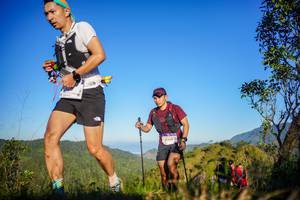 BIB: 3353, 
                            <button type="button" onclick="openModal(19213215)" class="btn btn-primary btn-sm float-right btn-popup" data-toggle="modal" data-target=".modal-high-quality">
                        <i class="fas fa-shopping-cart"></i> Add to Cart
                    </button>
                                            <button type="button" onclick="isThisMe(19213215, true)" class="btn btn-success btn-sm float-right btn-popup btn-isme hidden" data-toggle="tooltip" data-placement="bottom" title="นี่คือรูปของคุณใช่ไหม คลิกที่นี่เพื่อเอาเข้าอัลบั้ม">
                        <i class="fas fa-plus"></i> Add to album
                    </button>
                    <button type="button" onclick="isThisMe(19213215, false)" class="btn btn-warning btn-sm float-right btn-popup btn-isnotme hidden">
                        <i class="fas fa-ban"></i> Remove from album
                    </button>