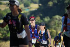 BIB: 181, 2392
                            <button type="button" onclick="openModal(19333487)" class="btn btn-primary btn-sm float-right btn-popup" data-toggle="modal" data-target=".modal-high-quality">
                        <i class="fas fa-shopping-cart"></i> Add to Cart
                    </button>
                                            <button type="button" onclick="isThisMe(19333487, true)" class="btn btn-success btn-sm float-right btn-popup btn-isme hidden" data-toggle="tooltip" data-placement="bottom" title="นี่คือรูปของคุณใช่ไหม คลิกที่นี่เพื่อเอาเข้าอัลบั้ม">
                        <i class="fas fa-plus"></i> Add to album
                    </button>
                    <button type="button" onclick="isThisMe(19333487, false)" class="btn btn-warning btn-sm float-right btn-popup btn-isnotme hidden">
                        <i class="fas fa-ban"></i> Remove from album
                    </button>