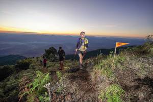 BIB: 
                            <button type="button" onclick="openModal(19005466)" class="btn btn-primary btn-sm float-right btn-popup" data-toggle="modal" data-target=".modal-high-quality">
                        <i class="fas fa-shopping-cart"></i> Add to Cart
                    </button>
                                            <button type="button" onclick="isThisMe(19005466, true)" class="btn btn-success btn-sm float-right btn-popup btn-isme hidden" data-toggle="tooltip" data-placement="bottom" title="นี่คือรูปของคุณใช่ไหม คลิกที่นี่เพื่อเอาเข้าอัลบั้ม">
                        <i class="fas fa-plus"></i> Add to album
                    </button>
                    <button type="button" onclick="isThisMe(19005466, false)" class="btn btn-warning btn-sm float-right btn-popup btn-isnotme hidden">
                        <i class="fas fa-ban"></i> Remove from album
                    </button>