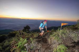 BIB: 
                            <button type="button" onclick="openModal(19005578)" class="btn btn-primary btn-sm float-right btn-popup" data-toggle="modal" data-target=".modal-high-quality">
                        <i class="fas fa-shopping-cart"></i> Add to Cart
                    </button>
                                            <button type="button" onclick="isThisMe(19005578, true)" class="btn btn-success btn-sm float-right btn-popup btn-isme hidden" data-toggle="tooltip" data-placement="bottom" title="นี่คือรูปของคุณใช่ไหม คลิกที่นี่เพื่อเอาเข้าอัลบั้ม">
                        <i class="fas fa-plus"></i> Add to album
                    </button>
                    <button type="button" onclick="isThisMe(19005578, false)" class="btn btn-warning btn-sm float-right btn-popup btn-isnotme hidden">
                        <i class="fas fa-ban"></i> Remove from album
                    </button>