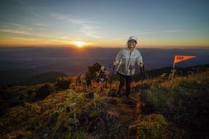 BIB: 
                            <button type="button" onclick="openModal(19007251)" class="btn btn-primary btn-sm float-right btn-popup" data-toggle="modal" data-target=".modal-high-quality">
                        <i class="fas fa-shopping-cart"></i> Add to Cart
                    </button>
                                            <button type="button" onclick="isThisMe(19007251, true)" class="btn btn-success btn-sm float-right btn-popup btn-isme hidden" data-toggle="tooltip" data-placement="bottom" title="นี่คือรูปของคุณใช่ไหม คลิกที่นี่เพื่อเอาเข้าอัลบั้ม">
                        <i class="fas fa-plus"></i> Add to album
                    </button>
                    <button type="button" onclick="isThisMe(19007251, false)" class="btn btn-warning btn-sm float-right btn-popup btn-isnotme hidden">
                        <i class="fas fa-ban"></i> Remove from album
                    </button>