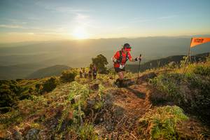 BIB: 
                            <button type="button" onclick="openModal(19005415)" class="btn btn-primary btn-sm float-right btn-popup" data-toggle="modal" data-target=".modal-high-quality">
                        <i class="fas fa-shopping-cart"></i> Add to Cart
                    </button>
                                            <button type="button" onclick="isThisMe(19005415, true)" class="btn btn-success btn-sm float-right btn-popup btn-isme hidden" data-toggle="tooltip" data-placement="bottom" title="นี่คือรูปของคุณใช่ไหม คลิกที่นี่เพื่อเอาเข้าอัลบั้ม">
                        <i class="fas fa-plus"></i> Add to album
                    </button>
                    <button type="button" onclick="isThisMe(19005415, false)" class="btn btn-warning btn-sm float-right btn-popup btn-isnotme hidden">
                        <i class="fas fa-ban"></i> Remove from album
                    </button>