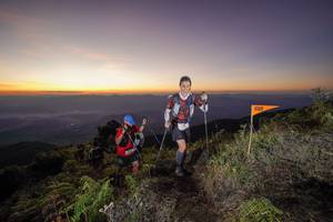 BIB: 
                            <button type="button" onclick="openModal(19006383)" class="btn btn-primary btn-sm float-right btn-popup" data-toggle="modal" data-target=".modal-high-quality">
                        <i class="fas fa-shopping-cart"></i> Add to Cart
                    </button>
                                            <button type="button" onclick="isThisMe(19006383, true)" class="btn btn-success btn-sm float-right btn-popup btn-isme hidden" data-toggle="tooltip" data-placement="bottom" title="นี่คือรูปของคุณใช่ไหม คลิกที่นี่เพื่อเอาเข้าอัลบั้ม">
                        <i class="fas fa-plus"></i> Add to album
                    </button>
                    <button type="button" onclick="isThisMe(19006383, false)" class="btn btn-warning btn-sm float-right btn-popup btn-isnotme hidden">
                        <i class="fas fa-ban"></i> Remove from album
                    </button>