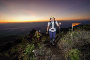 BIB: 
                            <button type="button" onclick="openModal(19006655)" class="btn btn-primary btn-sm float-right btn-popup" data-toggle="modal" data-target=".modal-high-quality">
                        <i class="fas fa-shopping-cart"></i> Add to Cart
                    </button>
                                            <button type="button" onclick="isThisMe(19006655, true)" class="btn btn-success btn-sm float-right btn-popup btn-isme hidden" data-toggle="tooltip" data-placement="bottom" title="นี่คือรูปของคุณใช่ไหม คลิกที่นี่เพื่อเอาเข้าอัลบั้ม">
                        <i class="fas fa-plus"></i> Add to album
                    </button>
                    <button type="button" onclick="isThisMe(19006655, false)" class="btn btn-warning btn-sm float-right btn-popup btn-isnotme hidden">
                        <i class="fas fa-ban"></i> Remove from album
                    </button>