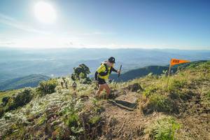 BIB: 
                            <button type="button" onclick="openModal(19000778)" class="btn btn-primary btn-sm float-right btn-popup" data-toggle="modal" data-target=".modal-high-quality">
                        <i class="fas fa-shopping-cart"></i> Add to Cart
                    </button>
                                            <button type="button" onclick="isThisMe(19000778, true)" class="btn btn-success btn-sm float-right btn-popup btn-isme hidden" data-toggle="tooltip" data-placement="bottom" title="นี่คือรูปของคุณใช่ไหม คลิกที่นี่เพื่อเอาเข้าอัลบั้ม">
                        <i class="fas fa-plus"></i> Add to album
                    </button>
                    <button type="button" onclick="isThisMe(19000778, false)" class="btn btn-warning btn-sm float-right btn-popup btn-isnotme hidden">
                        <i class="fas fa-ban"></i> Remove from album
                    </button>