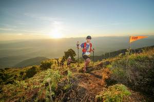 BIB: 
                            <button type="button" onclick="openModal(19005352)" class="btn btn-primary btn-sm float-right btn-popup" data-toggle="modal" data-target=".modal-high-quality">
                        <i class="fas fa-shopping-cart"></i> Add to Cart
                    </button>
                                            <button type="button" onclick="isThisMe(19005352, true)" class="btn btn-success btn-sm float-right btn-popup btn-isme hidden" data-toggle="tooltip" data-placement="bottom" title="นี่คือรูปของคุณใช่ไหม คลิกที่นี่เพื่อเอาเข้าอัลบั้ม">
                        <i class="fas fa-plus"></i> Add to album
                    </button>
                    <button type="button" onclick="isThisMe(19005352, false)" class="btn btn-warning btn-sm float-right btn-popup btn-isnotme hidden">
                        <i class="fas fa-ban"></i> Remove from album
                    </button>